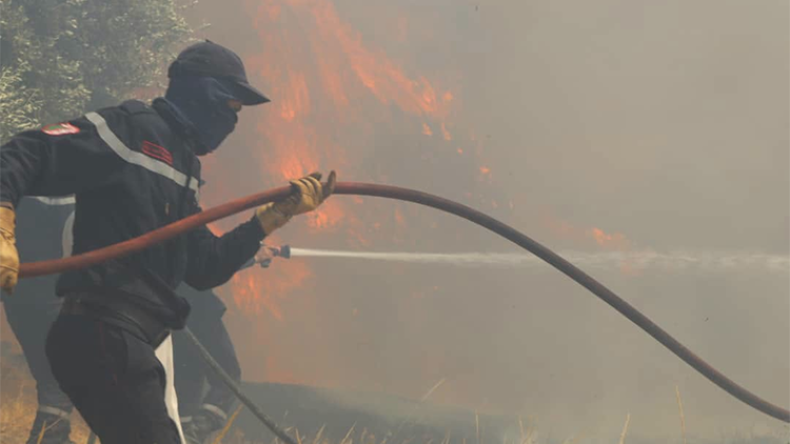 Algerian Football Community Unites in Solidarity Amidst Devastating Wildfires