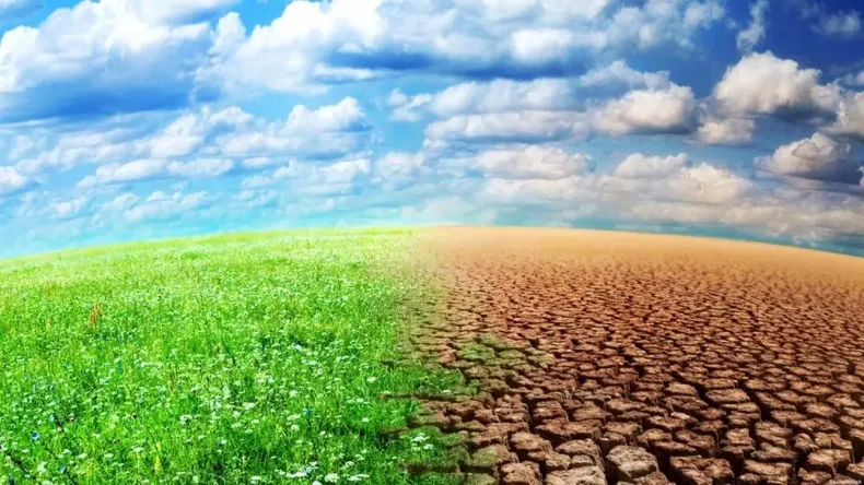 Algeria Marks World Day to Combat Desertification and Drought with Focus on Pastures