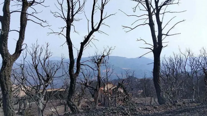 Wildfire Aftermath: Experts Warn of Increased Flood and Landslide Risk