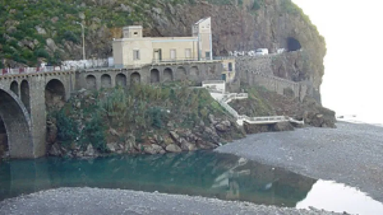 Jijel Fires: Arson or Accident?