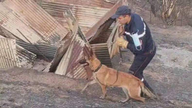 Jijel Fires: Search Intensifies for Missing Amidst Devastation