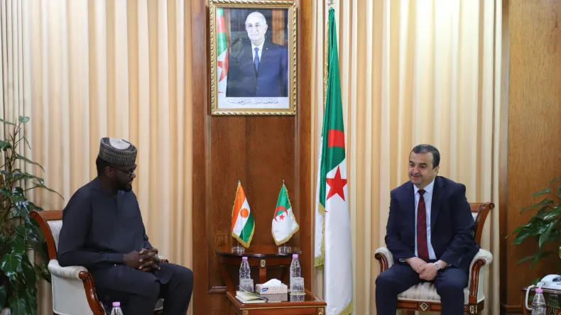 Algeria and Niger Forge Deeper Oil and Gas Partnership