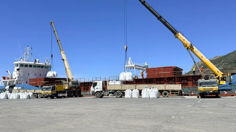 Tenes Port Achieves Record Export Operation with Simultaneous Loading of Three Ships