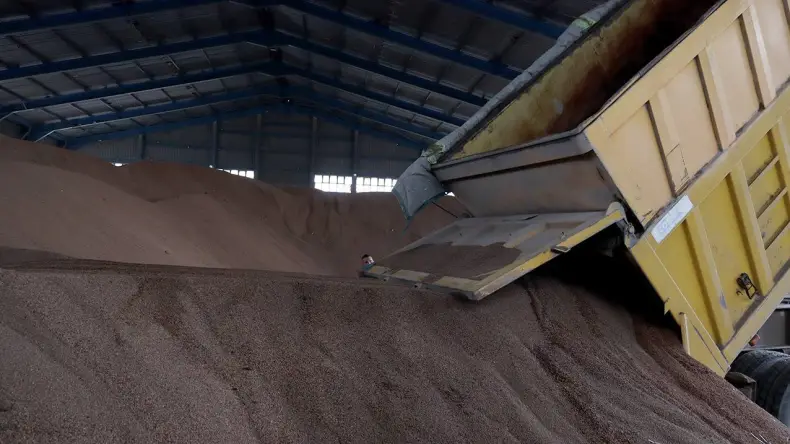 Bejaia Port Ships 2053 Tons of Olive Pomace to Italy