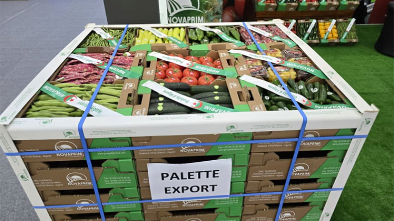 Algeria Eyes Record Exports Amidst African Trade Surge