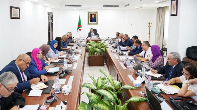 Algeria Explores Electric Mobility and Smart Consumption to Modernize National Grid