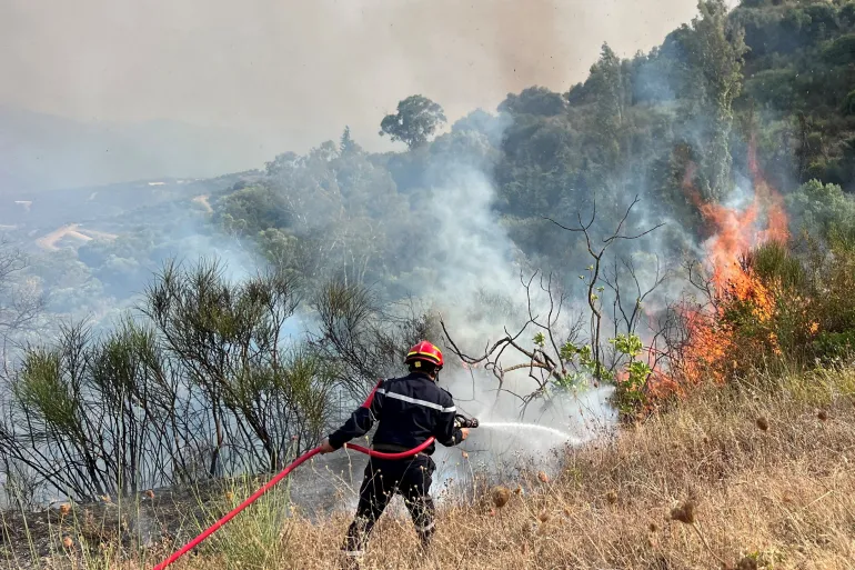 Algerian Wildfires Claim Lives Amidst Severe Heatwave