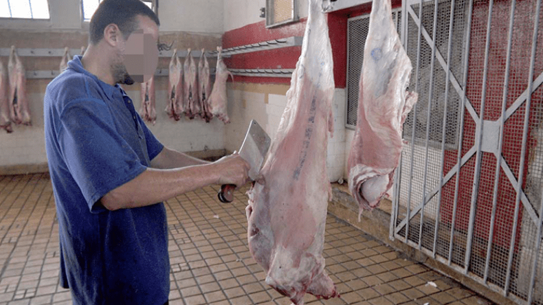 Young People Flock to Temporary Eid al-Adha Slaughtering Jobs