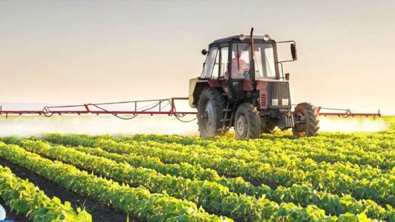 Algeria Launches Digital Services to Boost Farmer Social Protection and Food Security