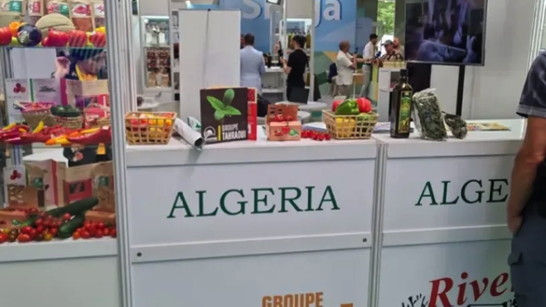 Algerian Banks Abroad Shift to Economic Catalysts in Africa