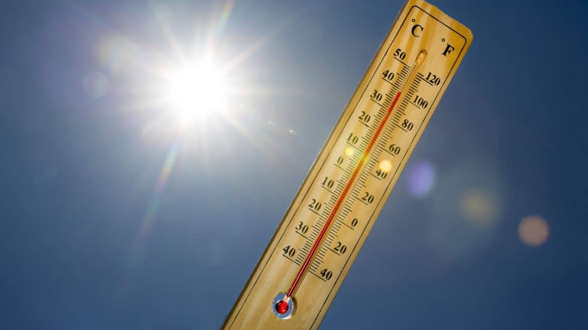 Heatwave Sparks Chaos in French Stores as Shoppers Scramble for Cooling Appliances