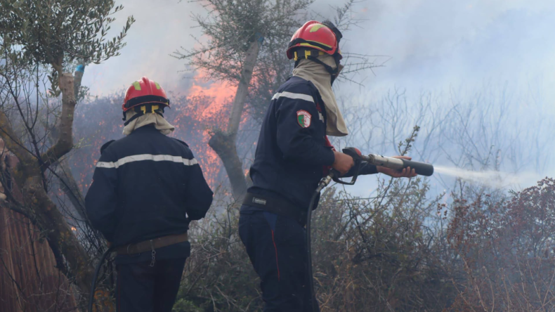 Algeria Battles Widespread Vegetation Fires