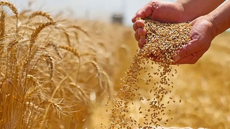 The Peril of Plenty: How Food Obsession Weakens Societies and Souls