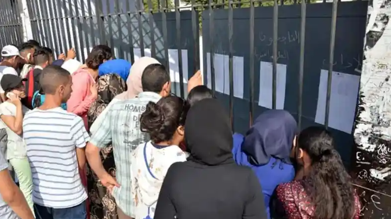 Algerian Students Navigate Secondary School Choices Amidst Digital System Challenges