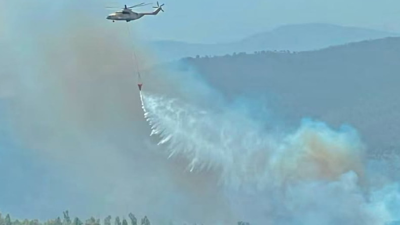 Algerian Air Force Deploys Dozens of Sorties to Combat Jijel and El Taref Fires