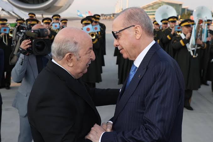 Erdogan Hails Algeria's Diplomatic Role, Especially on Palestine