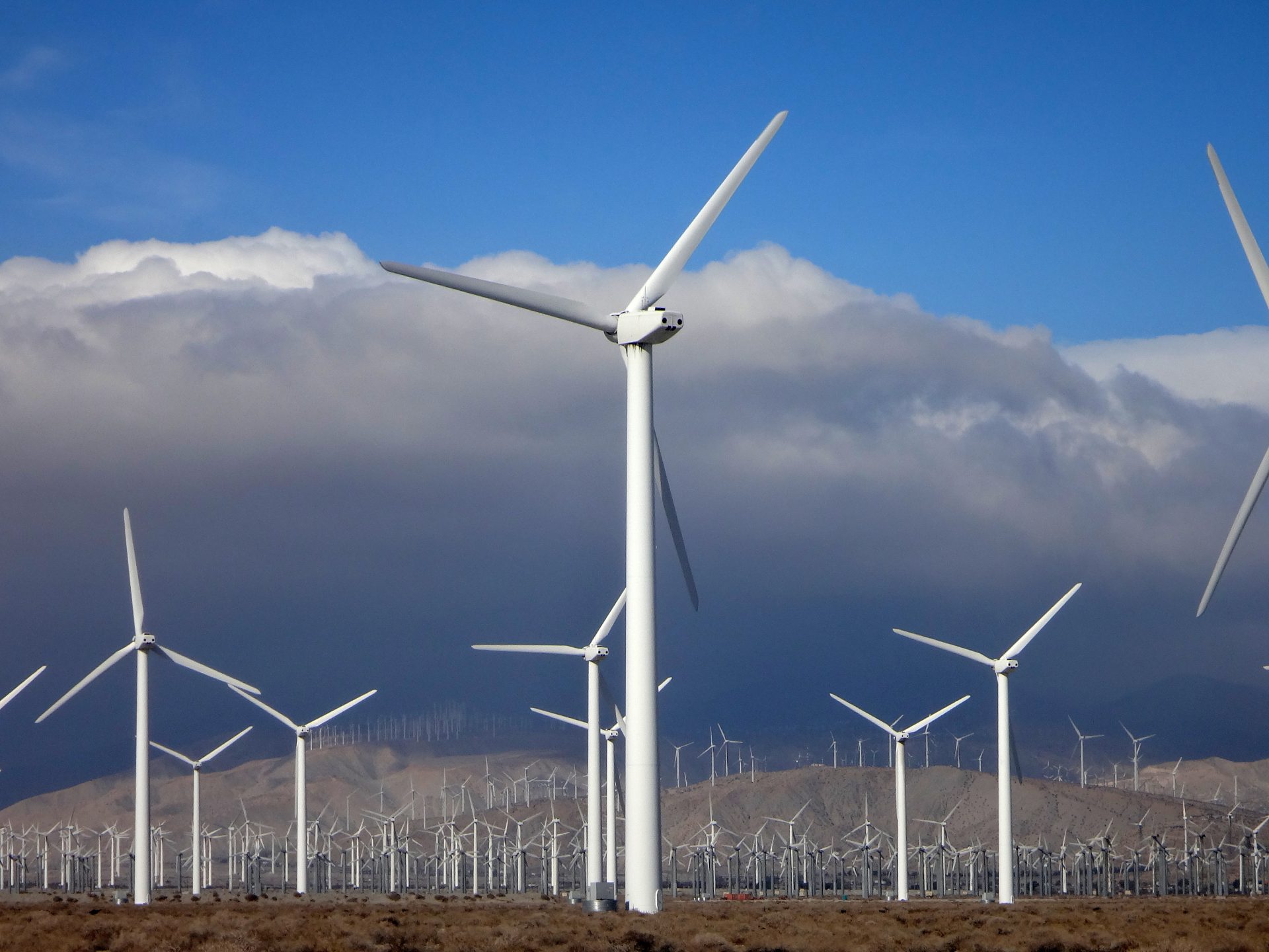 Algeria Seeks Nordic Expertise for Green Energy Ambitions