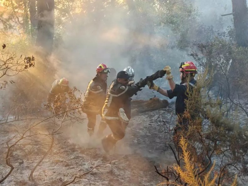 Civil Protection Battles Widespread Fires Across Algeria