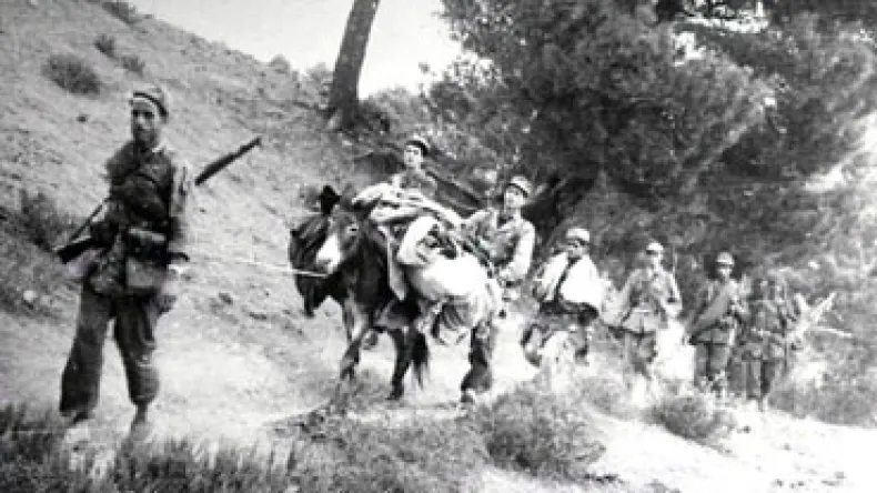 The Fierce Battle of Mouqournou: Algerian Fighters Endure Hardship Amidst Victory