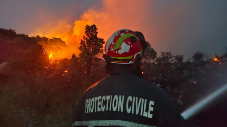 Civil Protection Mobilizes Personnel Amidst Forest Fires and Extreme Heatwave