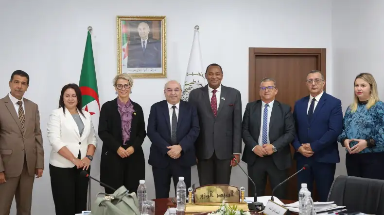 Algeria Explores Regional Hub for African Medicine Supply