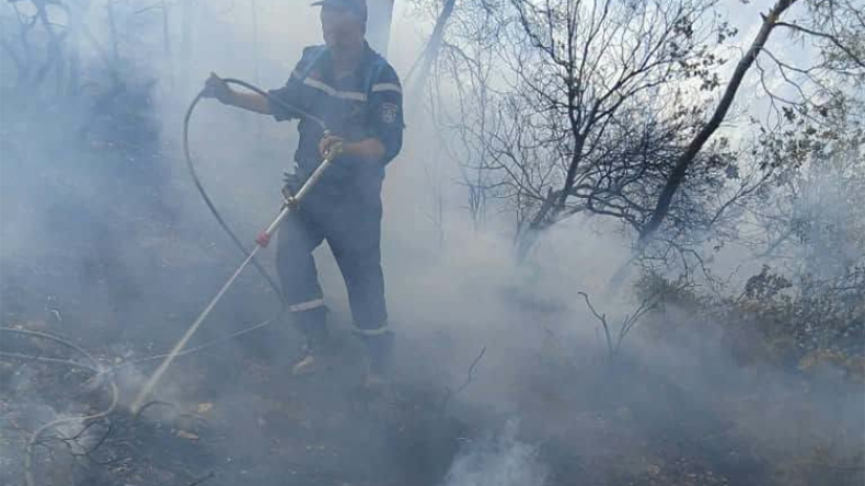 Algeria's Wildfire Crisis: A Nation Confronts Tragedy and Calls for Change