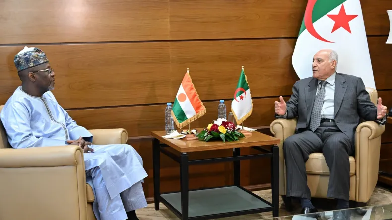 Algeria and Niger Deepen Bilateral Ties in High-Level Talks