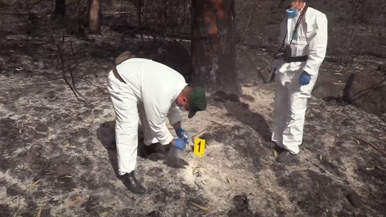 Gendarmerie Launches Forest Fire Investigations