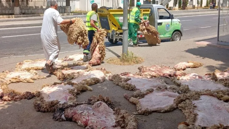 National Campaign for Sacrificial Skin Valorization Declared a Success