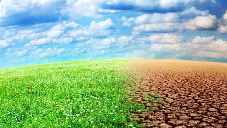 Algeria's Battle Against Desertification: Progress, Challenges, and Future Needs