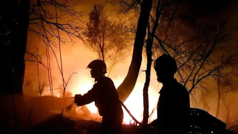 Algeria Battles Widespread Fires: Hundreds Evacuated as Blazes Rage