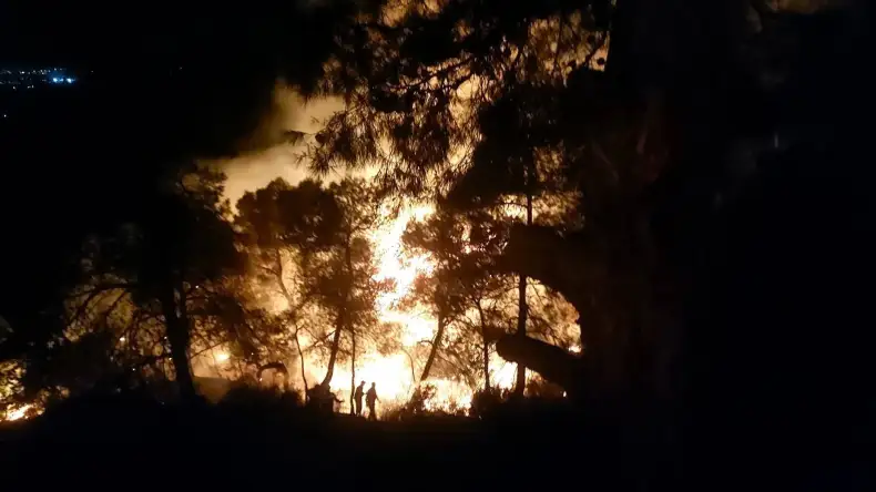 Civil Protection Battles 173 Fires Across Six Provinces