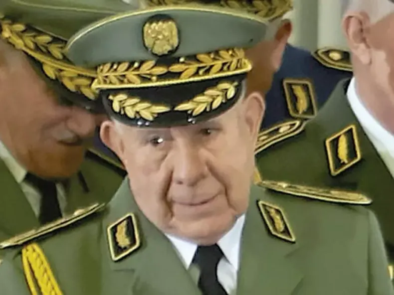 تعزيز التعاون العسكري بين الجزائر والنيجر
