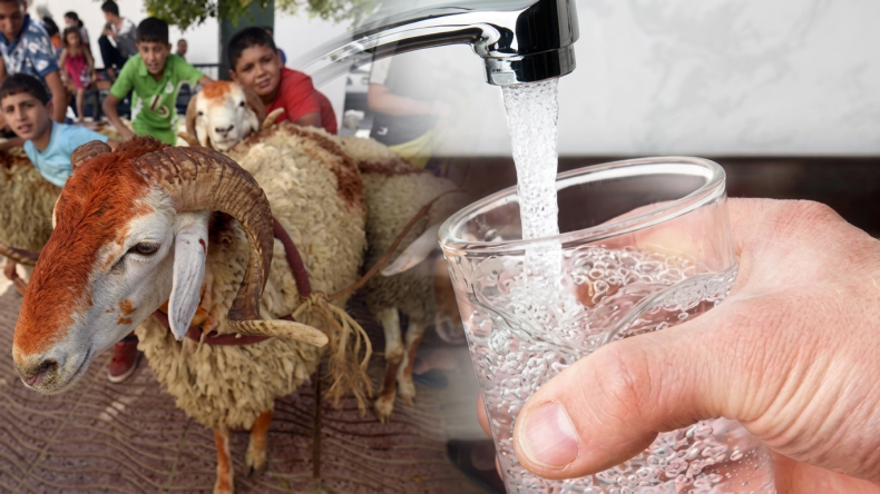 Algerian Water Company Prepares for Eid al-Adha with Enhanced Supply Program