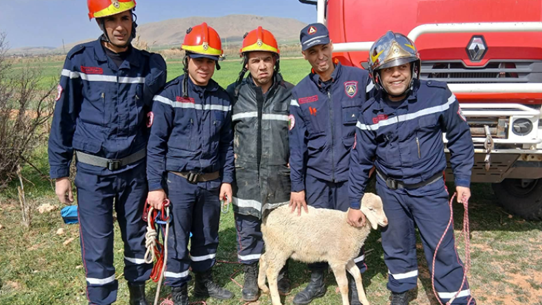 Algerian Civil Protection Extends Lifesaving Efforts to Animals