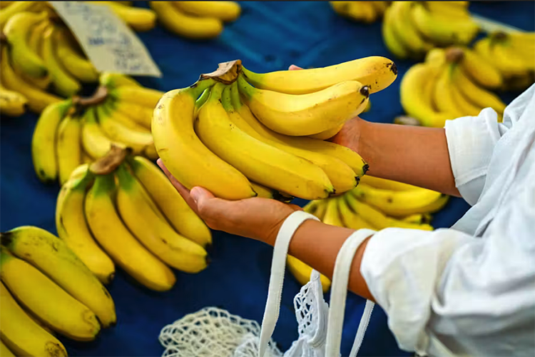 Algeria Caps Banana Prices at DZD 420/kg Amidst Supply Boost