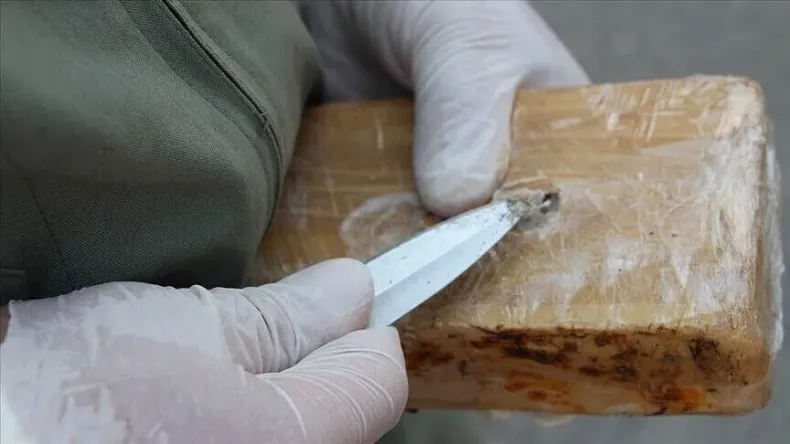 Spanish Authorities Seize Over 1.2 Tonnes of Cocaine in Seville Coconut Shipment