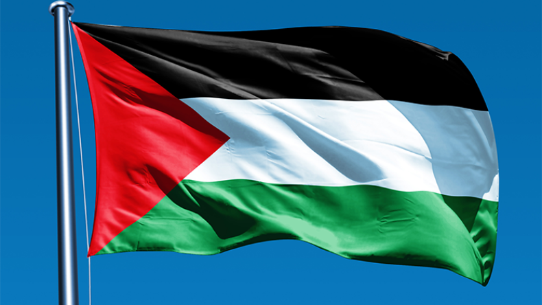 Flawed PNC Reform Risks Deepening Palestinian Division