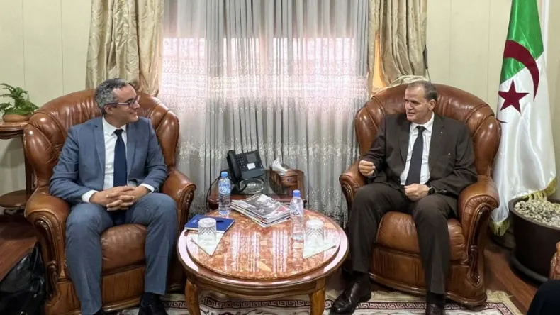 Algeria Aims to Boost Auto Exports Through Fiat Partnership