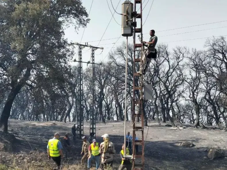 Skikda Directorate Restores Over 35 Km of Electrical Network Damaged by Forest Fires