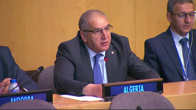 Algeria Champions UN Reform at New York Roundtable