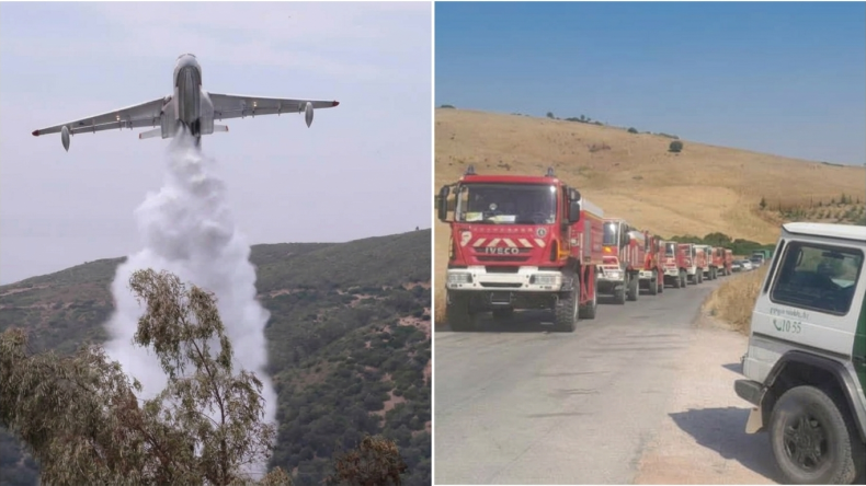 Algeria Mobilizes Extensive Resources to Combat Widespread Forest Fires