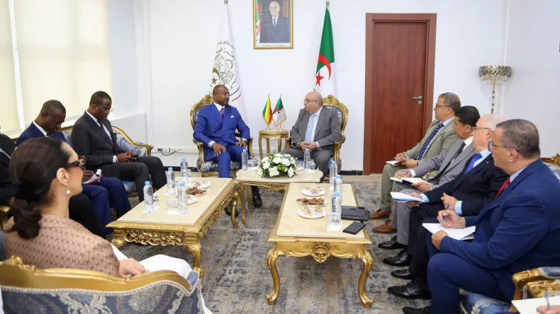 Algeria Offers Pharmaceutical Expertise to Republic of Congo