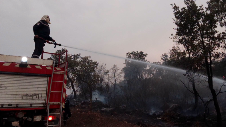 Civil Protection Battles 65 Vegetation Fires, Two Remain Active