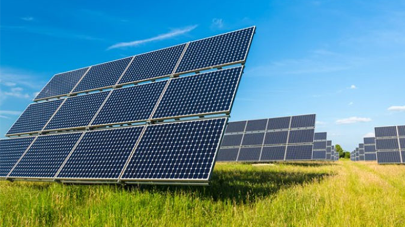 Algeria's Renewable Energy Push: Tax Incentives Tied to Local Content Could Unlock Billions
