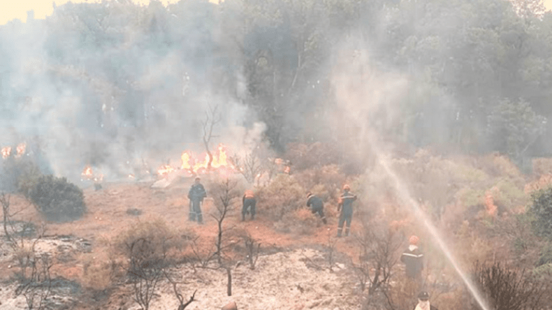 State Pledges Full Support for Fire Victims Amidst Widespread Blazes