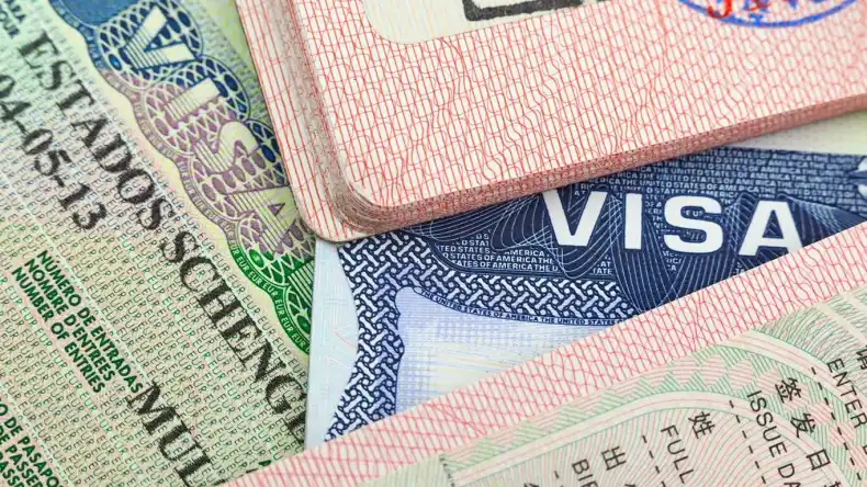 Annaba Man Arrested for Visa Appointment Data Scheme
